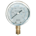 Anti-Vibrations-Manometer